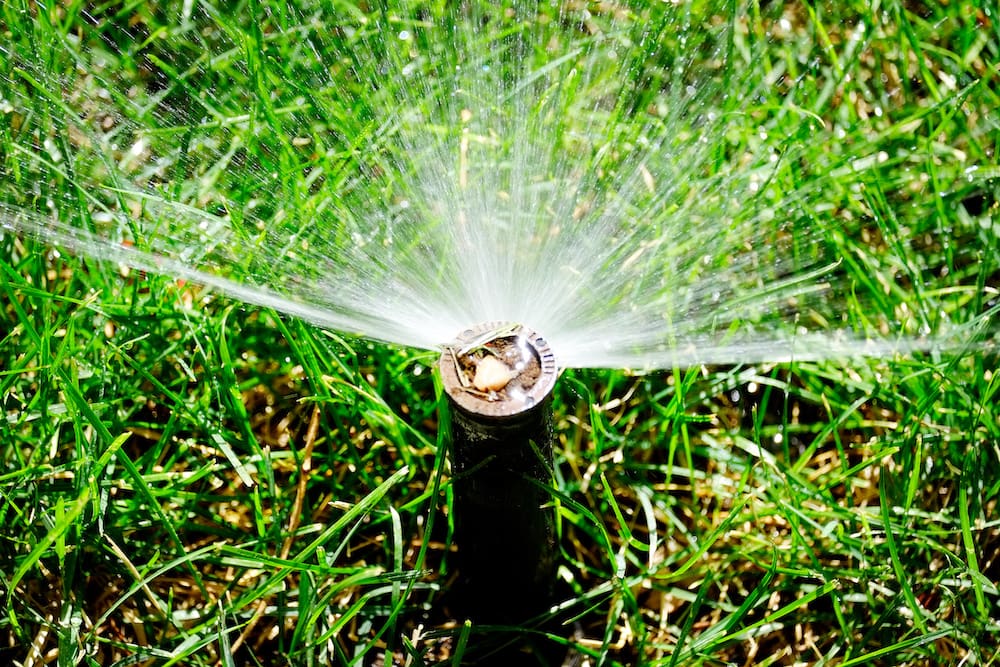 Sprinkler Spraying Water on Lush Green Lawn Yard